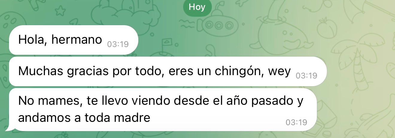 Opinión 4
